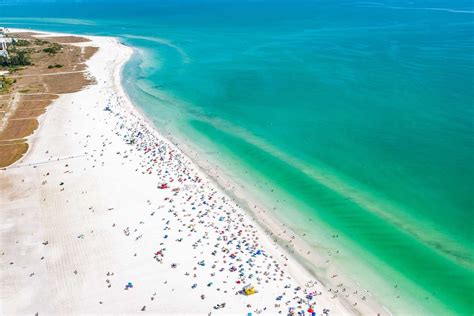 siesta key gomovies